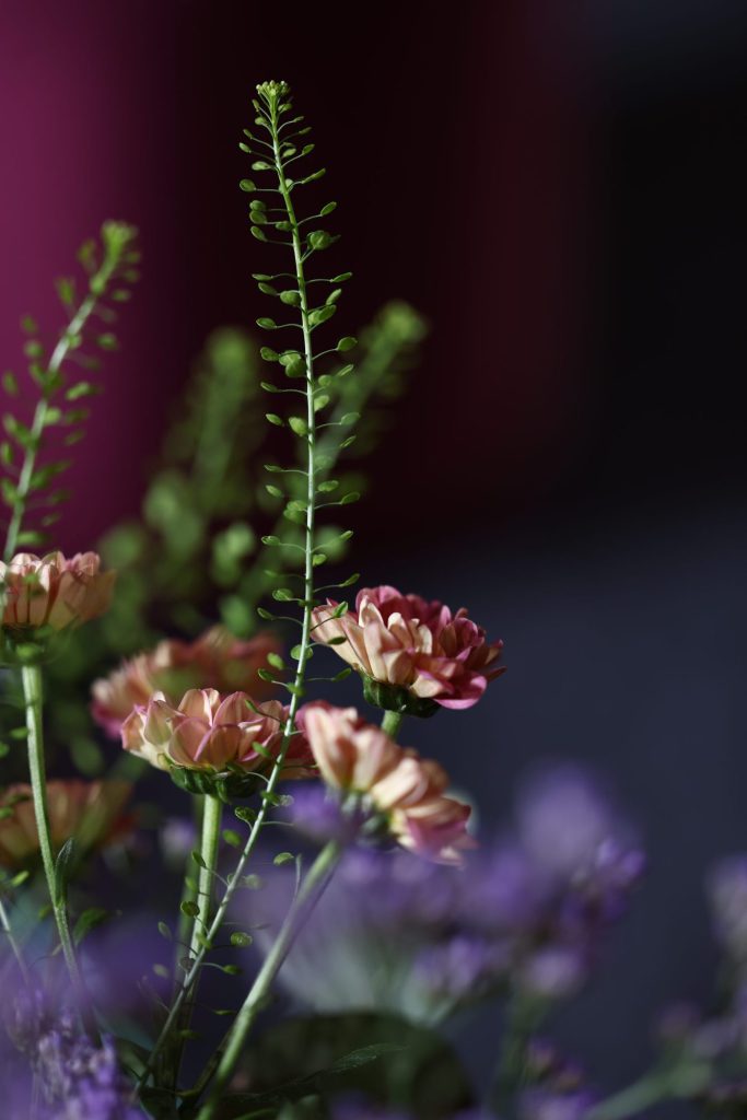 Moonlight Bloom by Chandal — photograph 6